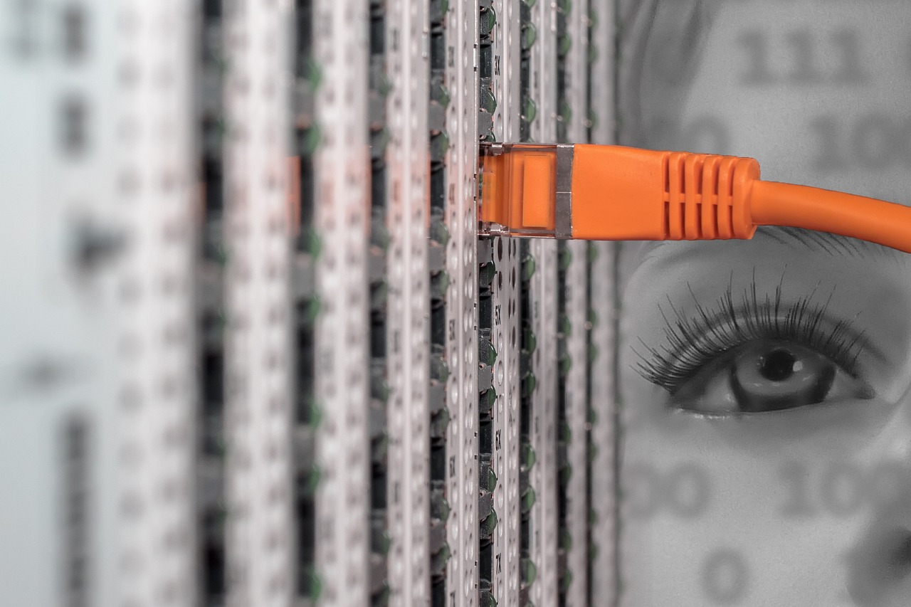 Data Centralization and Server Organization